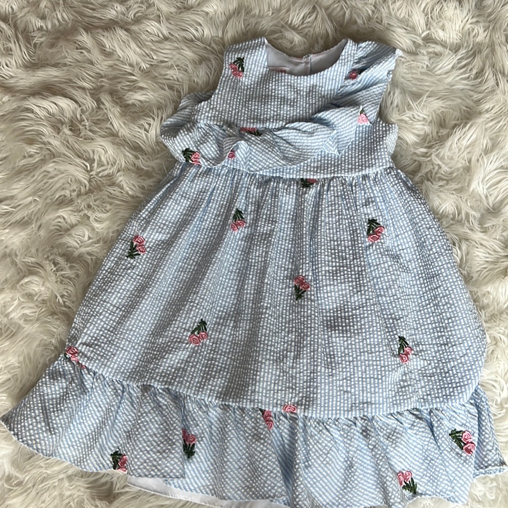 Seersucker dress with embroidered roses